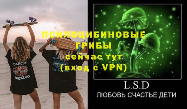 дмт Алексеевка